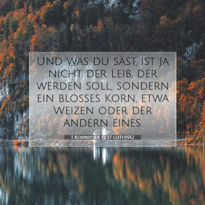 Picture 07 - 1 Korinther 15:37 LUTH1912 - Und was du säst, ist ja nicht der Leib, der - Bible Verse Picture