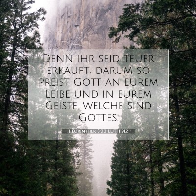 Picture 07 - 1 Korinther 6:20 LUTH1912 - Denn ihr seid teuer erkauft; darum so preist Gott - Bible Verse Picture