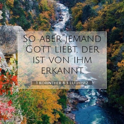 Picture 07 - 1 Korinther 8:3 LUTH1912 - So aber jemand Gott liebt, der ist von ihm - Bible Verse Picture