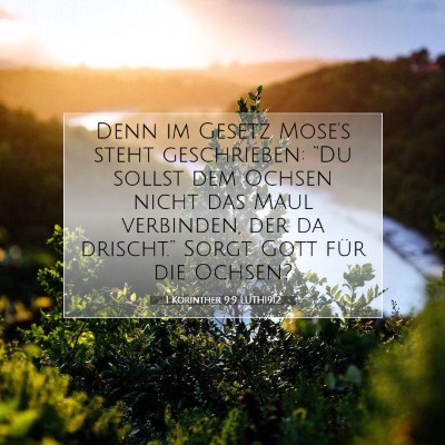 Picture 07 - 1 Korinther 9:9 LUTH1912 - Denn im Gesetz Mose's steht geschrieben: “Du - Bible Verse Picture