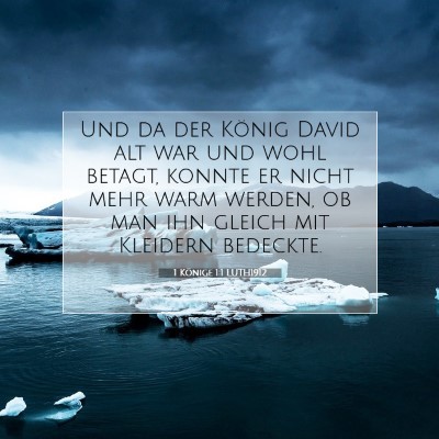 Picture 07 - 1 Könige 1:1 LUTH1912 - Und da der König David alt war und wohl betagt, - Bible Verse Picture