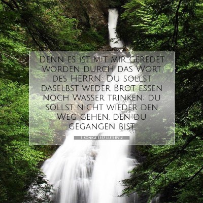 Picture 07 - 1 Könige 13:17 LUTH1912 - Denn es ist mit mir geredet worden durch das Wort - Bible Verse Picture