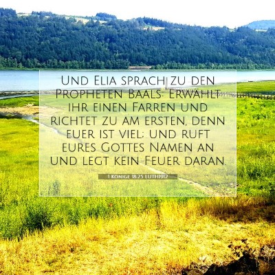 Picture 07 - 1 Könige 18:25 LUTH1912 - Und Elia sprach zu den Propheten Baals: Erwählt - Bible Verse Picture
