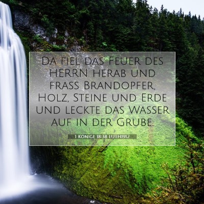 Picture 07 - 1 Könige 18:38 LUTH1912 - Da fiel das Feuer des HERRN herab und fraß - Bible Verse Picture