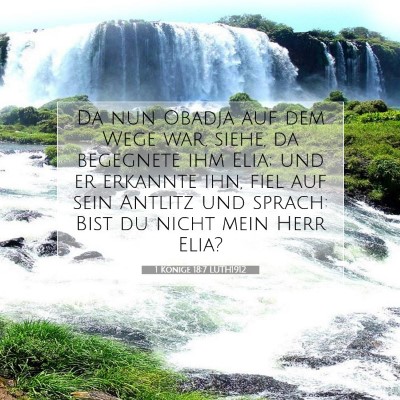 Picture 07 - 1 Könige 18:7 LUTH1912 - Da nun Obadja auf dem Wege war, siehe, da - Bible Verse Picture