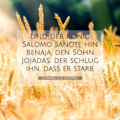 Picture 07 - 1 Könige 2:25 LUTH1912 - Und der König Salomo sandte hin Benaja, den Sohn - Bible Verse Picture