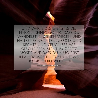 Picture 07 - 1 Könige 2:3 LUTH1912 - und warte des Dienstes des HERRN, deines Gottes, - Bible Verse Picture