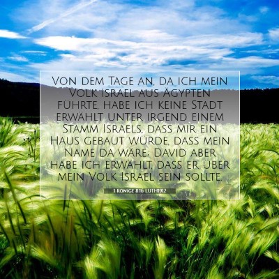 Picture 07 - 1 Könige 8:16 LUTH1912 - Von dem Tage an, da ich mein Volk Israel aus - Bible Verse Picture