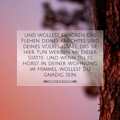 Picture 07 - 1 Könige 8:30 LUTH1912 - und wollest erhören das Flehen deines Knechtes - Bible Verse Picture
