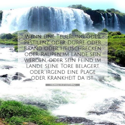 Picture 07 - 1 Könige 8:37 LUTH1912 - Wenn eine Teuerung oder Pestilenz oder Dürre - Bible Verse Picture