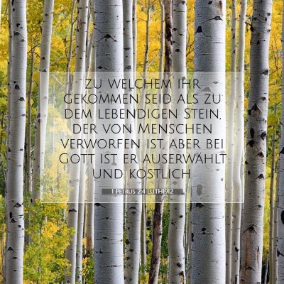 Picture 07 - 1 Petrus 2:4 LUTH1912 - zu welchem ihr gekommen seid als zu dem - Bible Verse Picture