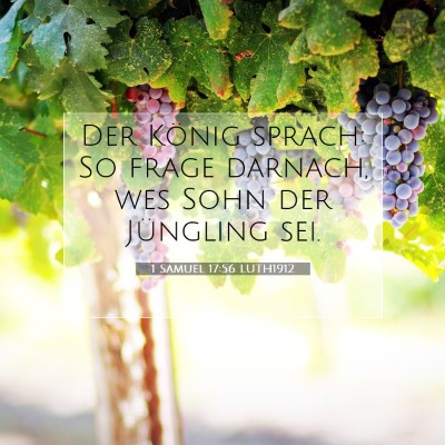 Picture 07 - 1 Samuel 17:56 LUTH1912 - Der König sprach: So frage darnach, wes Sohn der - Bible Verse Picture
