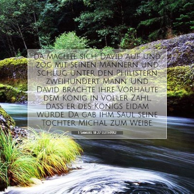 Picture 07 - 1 Samuel 18:27 LUTH1912 - da machte sich David auf und zog mit seinen - Bible Verse Picture