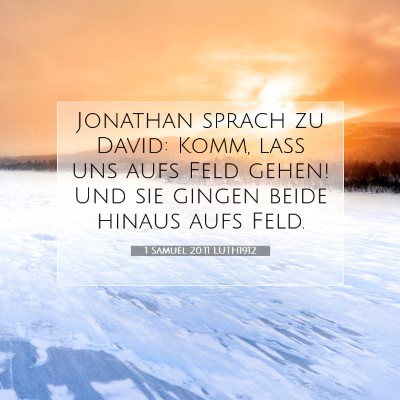 Picture 07 - 1 Samuel 20:11 LUTH1912 - Jonathan sprach zu David: Komm, laß uns aufs - Bible Verse Picture