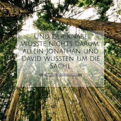 Picture 07 - 1 Samuel 20:39 LUTH1912 - Und der Knabe wußte nichts darum; allein - Bible Verse Picture