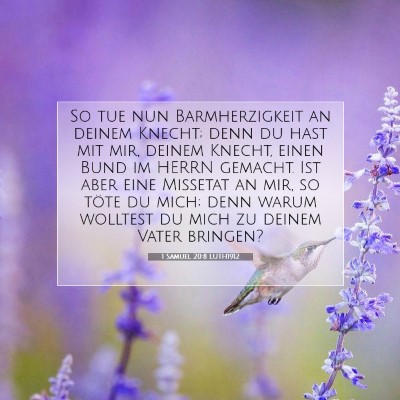 Picture 07 - 1 Samuel 20:8 LUTH1912 - So tue nun Barmherzigkeit an deinem Knecht; denn - Bible Verse Picture