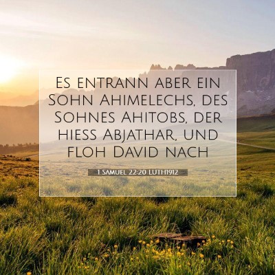 Picture 07 - 1 Samuel 22:20 LUTH1912 - Es entrann aber ein Sohn Ahimelechs, des Sohnes - Bible Verse Picture