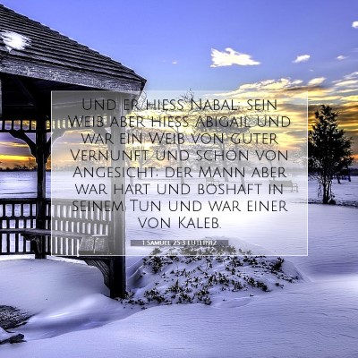 Picture 07 - 1 Samuel 25:3 LUTH1912 - Und er hieß Nabal; sein Weib aber hieß Abigail - Bible Verse Picture