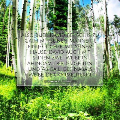 Picture 07 - 1 Samuel 27:3 LUTH1912 - Also blieb David bei Achis zu Gath mit seinen - Bible Verse Picture