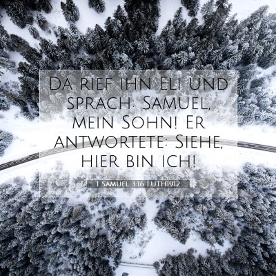 Picture 07 - 1 Samuel 3:16 LUTH1912 - Da rief ihn Eli und sprach: Samuel, mein Sohn! Er - Bible Verse Picture