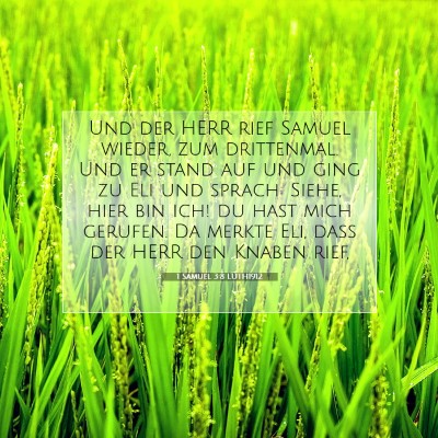 Picture 07 - 1 Samuel 3:8 LUTH1912 - Und der HERR rief Samuel wieder, zum drittenmal. - Bible Verse Picture