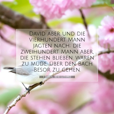Picture 07 - 1 Samuel 30:10 LUTH1912 - David aber und die vierhundert Mann jagten nach; - Bible Verse Picture