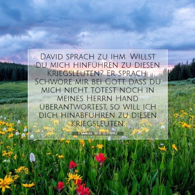 Picture 07 - 1 Samuel 30:15 LUTH1912 - David sprach zu ihm: Willst du mich hinführen zu - Bible Verse Picture