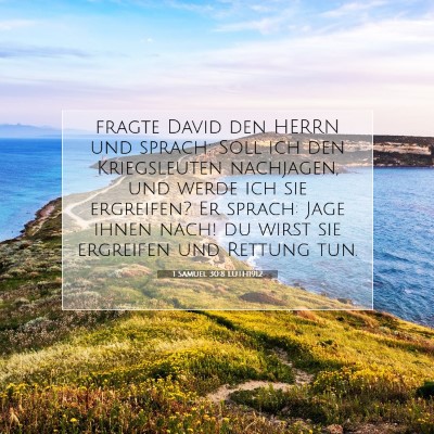 Picture 07 - 1 Samuel 30:8 LUTH1912 - fragte David den HERRN und sprach: Soll ich den - Bible Verse Picture