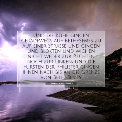 Picture 07 - 1 Samuel 6:12 LUTH1912 - Und die Kühe gingen geradewegs auf Beth-Semes zu - Bible Verse Picture
