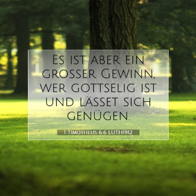 Picture 07 - 1 Timotheus 6:6 LUTH1912 - Es ist aber ein großer Gewinn, wer gottselig ist - Bible Verse Picture