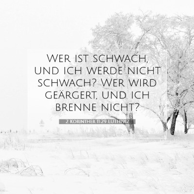 Picture 07 - 2 Korinther 11:29 LUTH1912 - Wer ist schwach, und ich werde nicht schwach? Wer - Bible Verse Picture