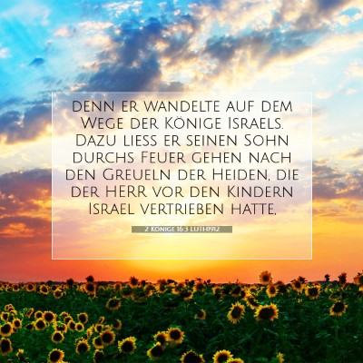 Picture 07 - 2 Könige 16:3 LUTH1912 - denn er wandelte auf dem Wege der Könige - Bible Verse Picture