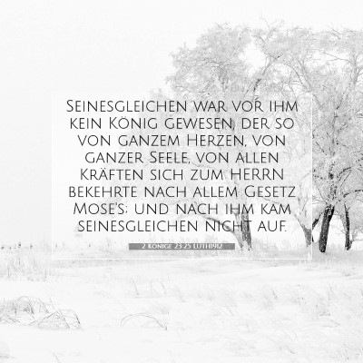 Picture 07 - 2 Könige 23:25 LUTH1912 - Seinesgleichen war vor ihm kein König gewesen, - Bible Verse Picture
