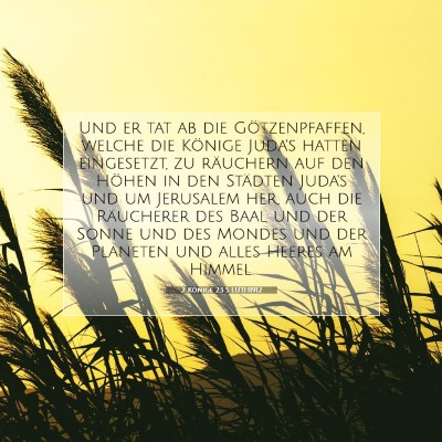 Picture 07 - 2 Könige 23:5 LUTH1912 - Und er tat ab die Götzenpfaffen, welche die - Bible Verse Picture