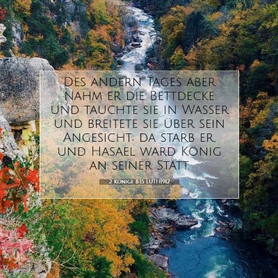 Picture 07 - 2 Könige 8:15 LUTH1912 - Des andern Tages aber nahm er die Bettdecke und - Bible Verse Picture