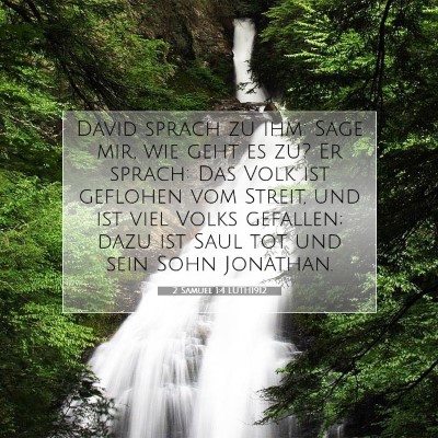 Picture 07 - 2 Samuel 1:4 LUTH1912 - David sprach zu ihm: Sage mir, wie geht es zu? Er - Bible Verse Picture