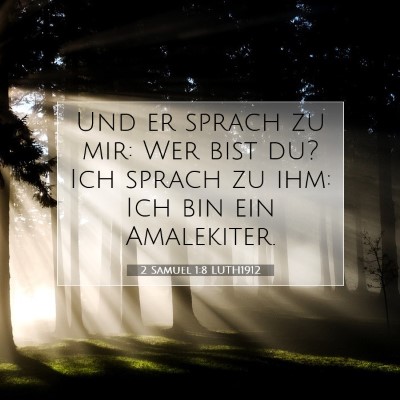 Picture 07 - 2 Samuel 1:8 LUTH1912 - Und er sprach zu mir: Wer bist du? Ich sprach zu - Bible Verse Picture
