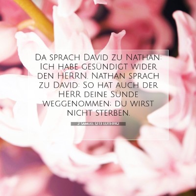 Picture 07 - 2 Samuel 12:13 LUTH1912 - Da sprach David zu Nathan: Ich habe gesündigt - Bible Verse Picture