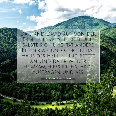 Picture 07 - 2 Samuel 12:20 LUTH1912 - Da stand David auf von der Erde und wusch sich - Bible Verse Picture