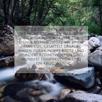 Picture 07 - 2 Samuel 16:1 LUTH1912 - Und da David ein wenig von der Höhe gegangen - Bible Verse Picture