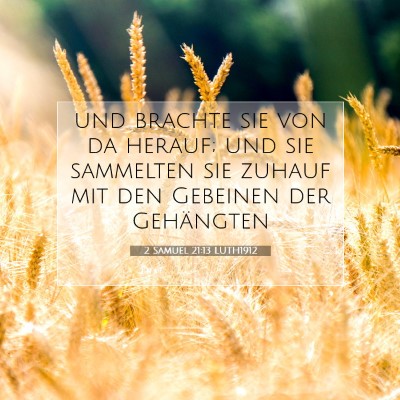 Picture 07 - 2 Samuel 21:13 LUTH1912 - und brachte sie von da herauf; und sie sammelten - Bible Verse Picture