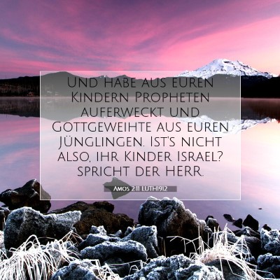 Picture 07 - Amos 2:11 LUTH1912 - Und habe aus euren Kindern Propheten auferweckt - Bible Verse Picture
