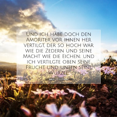 Picture 07 - Amos 2:9 LUTH1912 - Und ich habe doch den Amoriter vor ihnen her - Bible Verse Picture