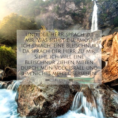 Picture 07 - Amos 7:8 LUTH1912 - Und der HERR sprach zu mir: Was siehst du, Amos? - Bible Verse Picture
