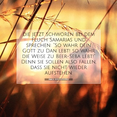 Picture 07 - Amos 8:14 LUTH1912 - die jetzt schwören bei dem Fluch Samarias und - Bible Verse Picture