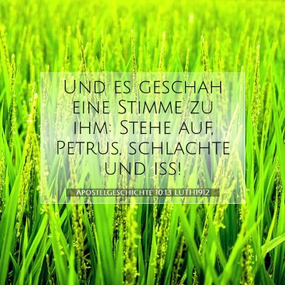 Picture 07 - Apostelgeschichte 10:13 LUTH1912 - Und es geschah eine Stimme zu ihm: Stehe auf, - Bible Verse Picture