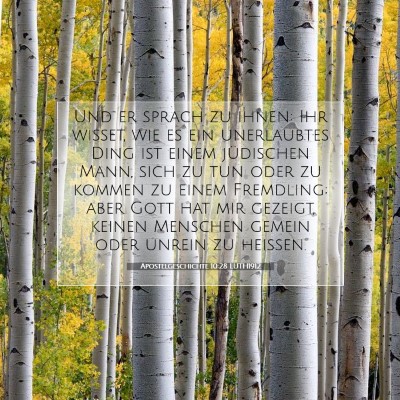 Picture 07 - Apostelgeschichte 10:28 LUTH1912 - Und er sprach zu ihnen: Ihr wisset, wie es ein - Bible Verse Picture