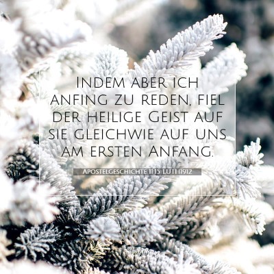 Picture 07 - Apostelgeschichte 11:15 LUTH1912 - Indem aber ich anfing zu reden, fiel der heilige - Bible Verse Picture