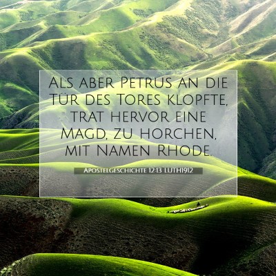 Picture 07 - Apostelgeschichte 12:13 LUTH1912 - Als aber Petrus an die Tür des Tores klopfte, - Bible Verse Picture