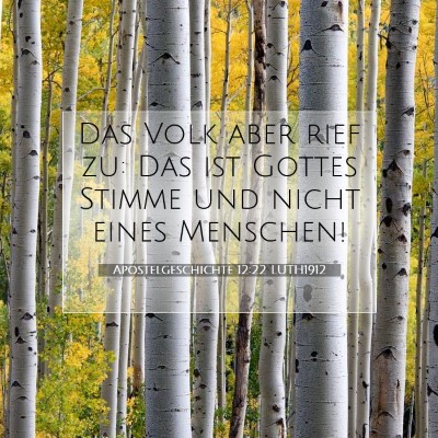Picture 07 - Apostelgeschichte 12:22 LUTH1912 - Das Volk aber rief zu: Das ist Gottes Stimme und - Bible Verse Picture